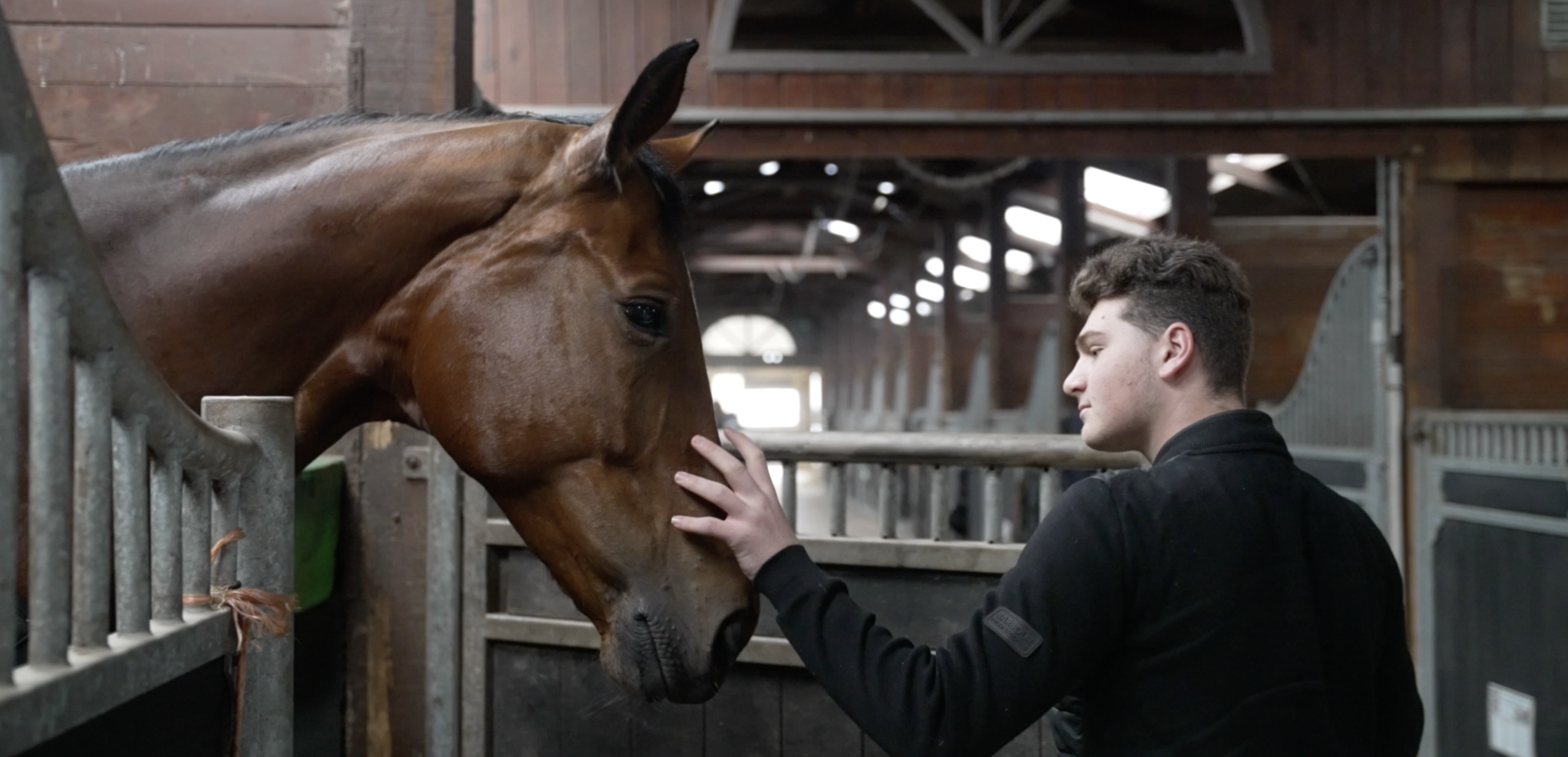 Mental en jeux - Equitation